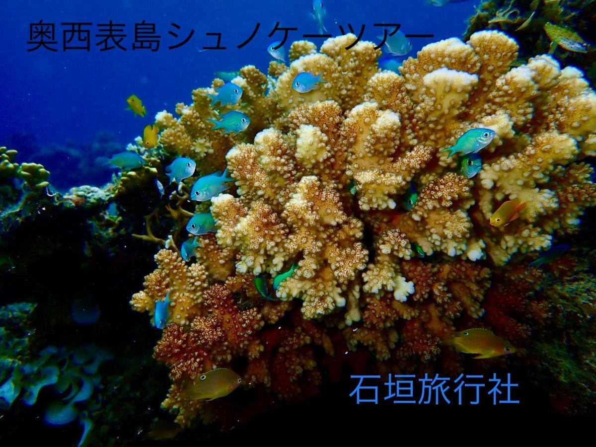 Ishigaki ゆい屋别墅 外观 照片