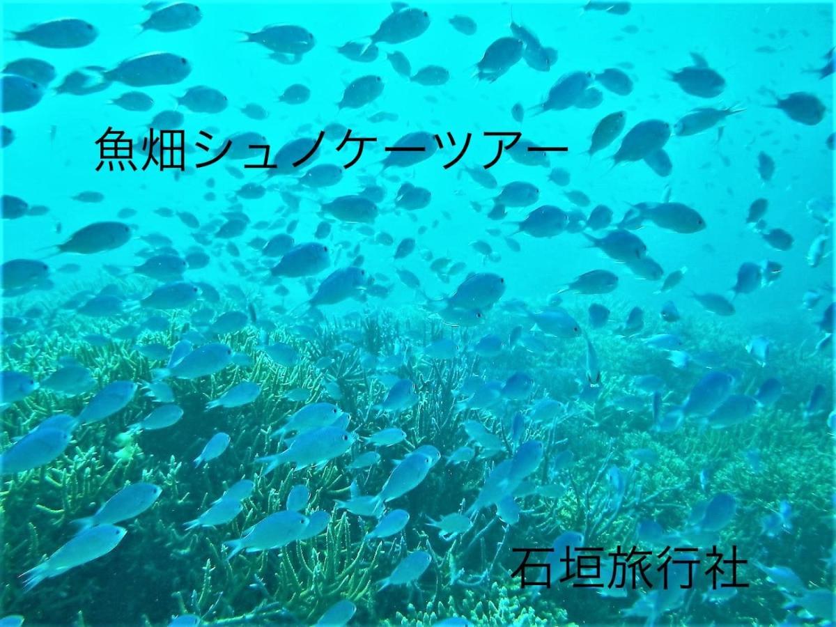 Ishigaki ゆい屋别墅 外观 照片