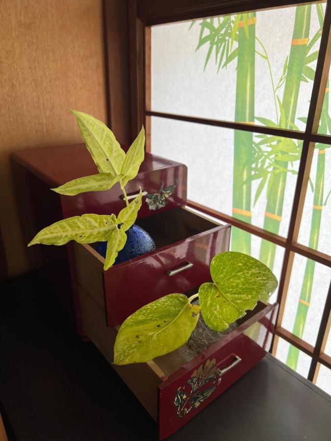 Ishigaki ゆい屋别墅 外观 照片